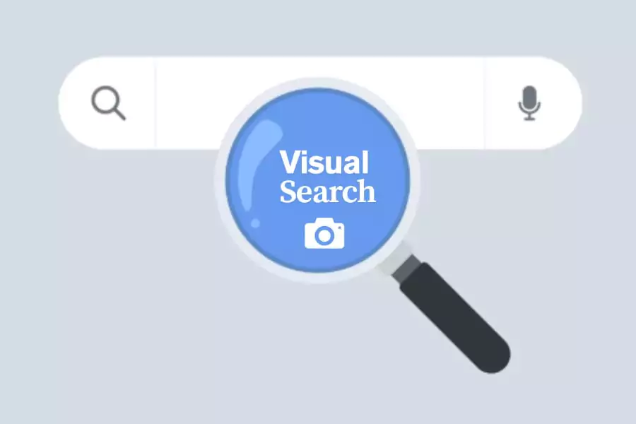 Visual Search